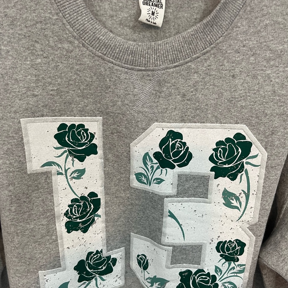 Gray Cropped Sweatshirt with Green Accents - Picture 2 of 8